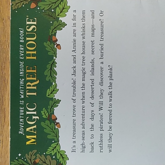 ✴️2 for $10✴️ Pirates Past Noon Magic Tree House #4 - Picture 2 of 3